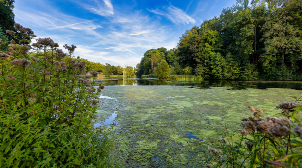 Serrurier Vachette Woluwe-Saint-Lambert